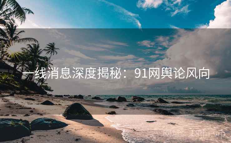 一线消息深度揭秘：91网舆论风向