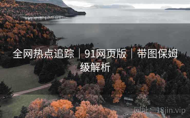 全网热点追踪｜91网页版｜带图保姆级解析
